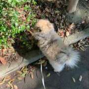 ヒメ日記 2025/08/07 09:58 投稿 真宮(まみや) 人妻城 横浜本店