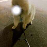 ヒメ日記 2025/09/06 09:19 投稿 真宮(まみや) 人妻城 横浜本店