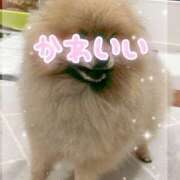 ヒメ日記 2025/11/12 17:10 投稿 真宮(まみや) 人妻城 横浜本店