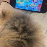 ヒメ日記 2025/11/15 10:54 投稿 真宮(まみや) 人妻城 横浜本店