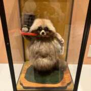 ヒメ日記 2025/11/26 07:56 投稿 真宮(まみや) 人妻城 横浜本店