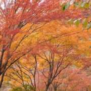 ヒメ日記 2025/12/01 16:06 投稿 真宮(まみや) 人妻城 横浜本店