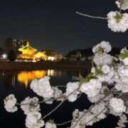 ヒメ日記 2025/04/16 00:39 投稿 さえ 鶯谷スピン