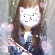 ヒメ日記 2025/02/19 14:21 投稿 ましろ さくらん