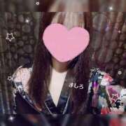 ヒメ日記 2025/04/04 15:33 投稿 ましろ さくらん