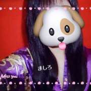 ヒメ日記 2025/06/09 16:10 投稿 ましろ さくらん