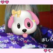 ヒメ日記 2026/01/24 16:21 投稿 ましろ さくらん