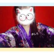 ヒメ日記 2026/01/29 17:12 投稿 ましろ さくらん