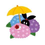 ヒメ日記 2025/06/01 13:26 投稿 まき マリン千姫