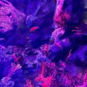 ヒメ日記 2025/07/01 08:21 投稿 まき マリン千姫