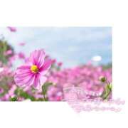 ヒメ日記 2025/10/01 20:19 投稿 まき マリン千姫