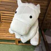 ヒメ日記 2025/11/12 20:04 投稿 まき マリン千姫