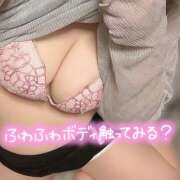 ヒメ日記 2025/03/31 14:33 投稿 りこ 蒼いうさぎ