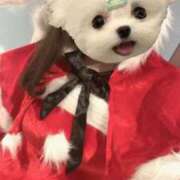 ゆらの 明日は？💗 One More 奥様　五反田店