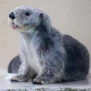 ヒメ日記 2025/02/13 09:38 投稿 あいら 全裸SUPERプレミアム