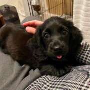 ヒメ日記 2025/02/15 09:40 投稿 あいら 全裸SUPERプレミアム