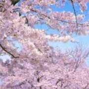 ヒメ日記 2025/03/26 08:59 投稿 あいら 全裸SUPERプレミアム