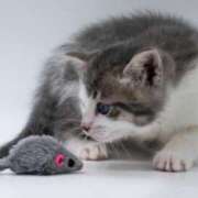 ヒメ日記 2025/04/28 09:21 投稿 あいら 全裸SUPERプレミアム