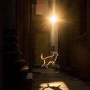 ヒメ日記 2025/05/23 13:45 投稿 あいら 全裸SUPERプレミアム