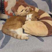 ヒメ日記 2025/05/24 09:30 投稿 あいら 全裸SUPERプレミアム