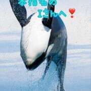 ヒメ日記 2025/06/10 21:59 投稿 あいら 全裸SUPERプレミアム