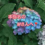 ヒメ日記 2025/06/14 13:01 投稿 あいら 全裸SUPERプレミアム