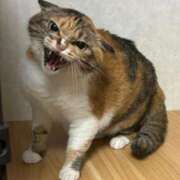 ヒメ日記 2025/06/20 09:30 投稿 あいら 全裸SUPERプレミアム