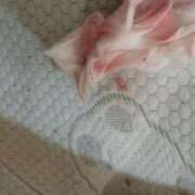 ヒメ日記 2025/07/04 07:53 投稿 あいら 全裸SUPERプレミアム