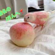 ヒメ日記 2025/07/08 20:29 投稿 あいら 全裸SUPERプレミアム