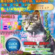 ヒメ日記 2025/07/23 08:28 投稿 あいら 全裸SUPERプレミアム