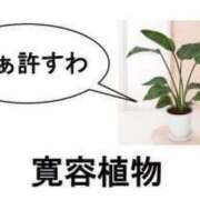 ヒメ日記 2025/08/03 09:30 投稿 あいら 全裸SUPERプレミアム