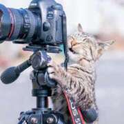 ヒメ日記 2025/08/08 04:29 投稿 あいら 全裸SUPERプレミアム