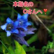 ヒメ日記 2025/11/08 17:31 投稿 あいら 全裸SUPERプレミアム