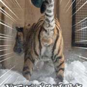 ヒメ日記 2025/11/10 09:30 投稿 あいら 全裸SUPERプレミアム