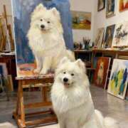 ヒメ日記 2025/12/19 08:49 投稿 あいら 全裸SUPERプレミアム