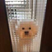 ヒメ日記 2026/01/10 09:49 投稿 あいら 全裸SUPERプレミアム