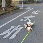 ヒメ日記 2026/03/21 06:25 投稿 あいら 全裸SUPERプレミアム