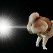 ヒメ日記 2026/04/10 09:02 投稿 あいら 全裸SUPERプレミアム