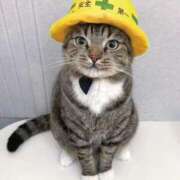 ヒメ日記 2025/02/07 20:13 投稿 あいら コスプレ痴漢電車