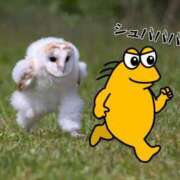 ヒメ日記 2025/02/28 09:21 投稿 あいら コスプレ痴漢電車