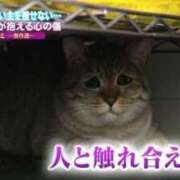 ヒメ日記 2025/05/05 09:31 投稿 あいら コスプレ痴漢電車