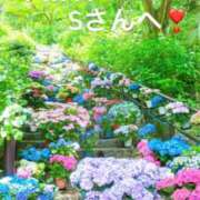 ヒメ日記 2025/05/28 20:00 投稿 あいら コスプレ痴漢電車