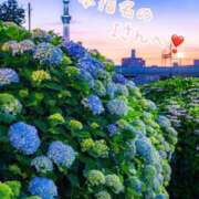 ヒメ日記 2025/06/07 14:25 投稿 あいら コスプレ痴漢電車