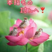 ヒメ日記 2025/06/09 23:01 投稿 あいら コスプレ痴漢電車