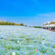 ヒメ日記 2025/07/21 07:15 投稿 あいら コスプレ痴漢電車