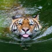 ヒメ日記 2025/07/22 15:43 投稿 あいら コスプレ痴漢電車