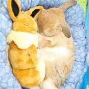 ヒメ日記 2025/07/30 09:30 投稿 あいら コスプレ痴漢電車