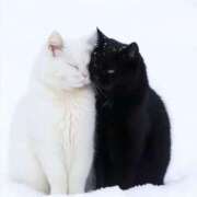 ヒメ日記 2025/08/14 12:44 投稿 あいら コスプレ痴漢電車