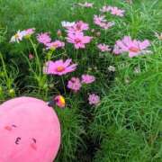 ヒメ日記 2025/09/17 09:30 投稿 あいら コスプレ痴漢電車