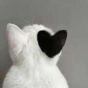 ヒメ日記 2025/09/30 09:30 投稿 あいら コスプレ痴漢電車